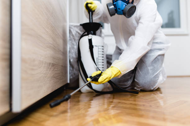 Pest Control Cost in Boles Acres, NM