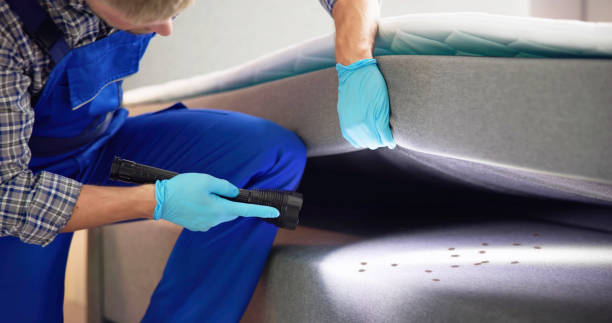 Best Affordable Pest Control Services  in Boles Acres, NM