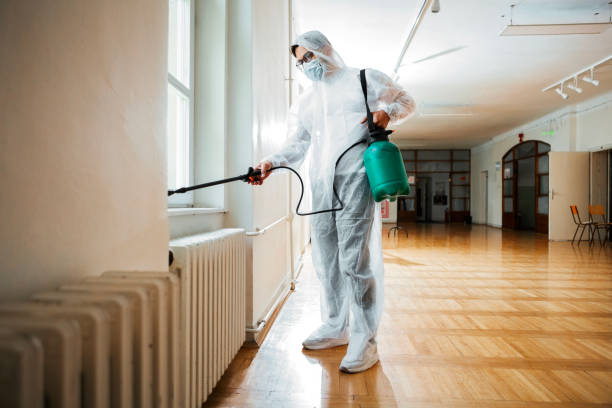 Best Pest Inspection Near Me  in Boles Acres, NM